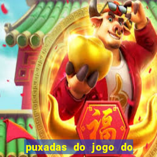 puxadas do jogo do bicho sueli